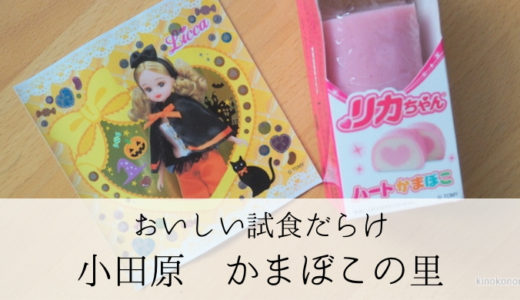 小田原のかまぼこなら「かまぼこの里」がおすすめ　試食たくさん子どもコーナーも