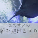 子連れで行く新江ノ島水族館　混雑レポート＆おすすめの回り方