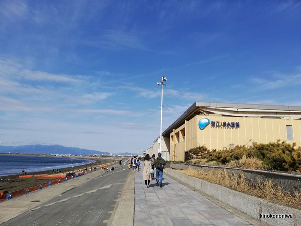 新江ノ島水族館の混雑