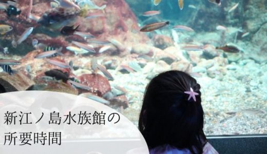 子連れで行く新江ノ島水族館　我が家の所要時間を紹介
