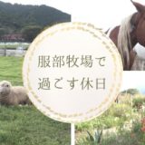 服部牧場（神奈川県）で動物たちとファームガーデンに癒されてきました