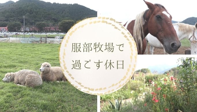 服部牧場（神奈川県）で動物たちとファームガーデンに癒されてきました