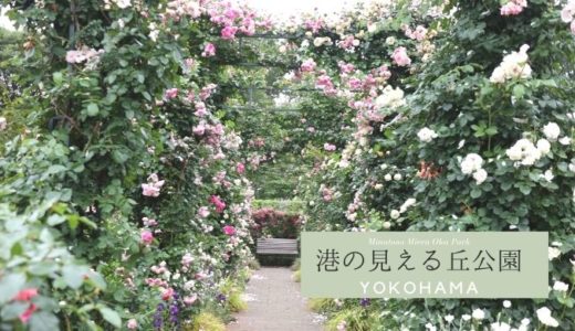 港の見える丘公園（横浜）いやしのバラ庭を散策
