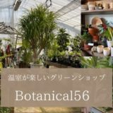 温室に観葉植物がいっぱい！Botanical 56（ボタニカルゴロー）に行ってきた（神奈川）