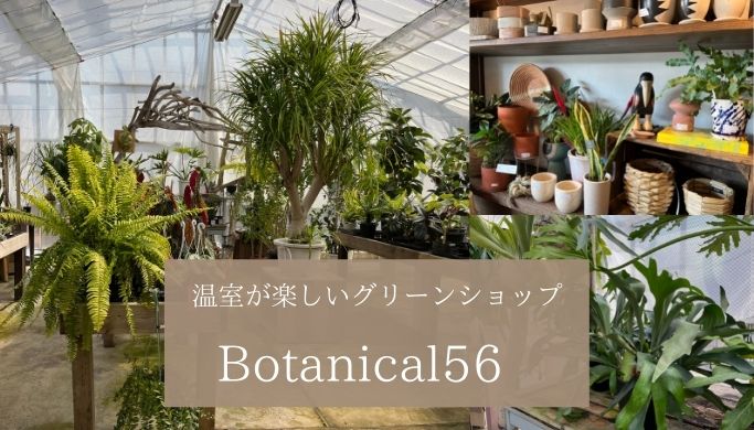 温室に観葉植物がいっぱい Botanical 56 ボタニカルゴロー に行ってきた 神奈川 きのこの庭