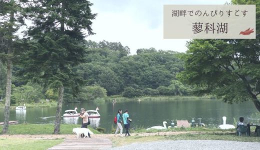 【蓼科湖】子連れで楽しいボート＆ゴーカート 道の駅も便利（蓼科観光）