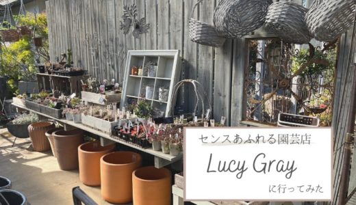 湘南のおしゃれ園芸店Lucy Gray（ルーシーグレイ）に行ってきた！（神奈川）