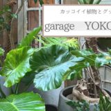 おしゃれ植物＆雑貨に囲まれる！garage YOKOHAMA（ガレージ横浜）に行ってみた