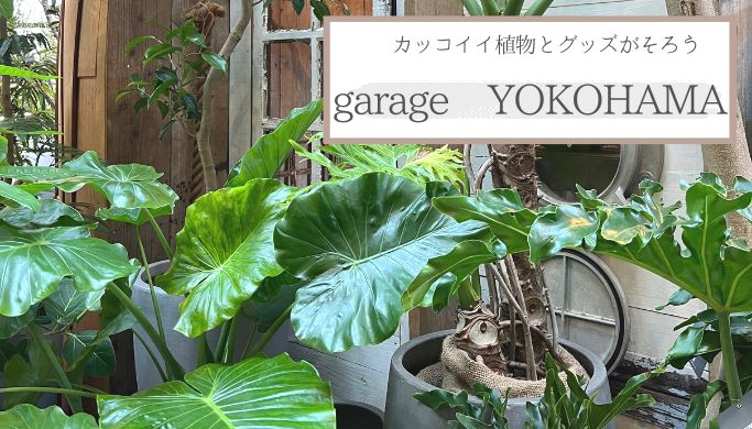 おしゃれ植物＆雑貨に囲まれる！garage YOKOHAMA（ガレージ横浜）に行ってみた